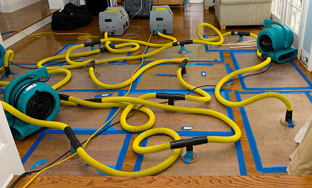 Professional Crawl Space Water Removal technician working in Lowell, OR